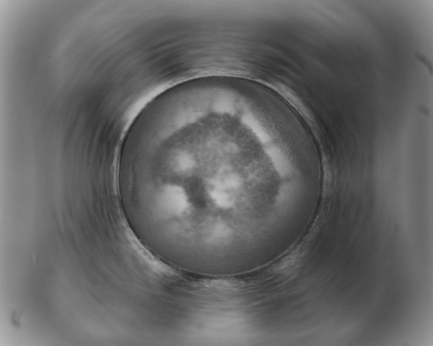 X0000103161246200809121831