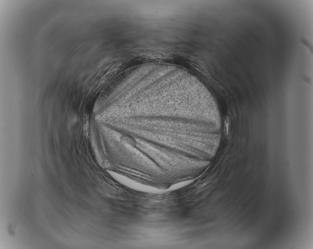 X0000103161251200809121830