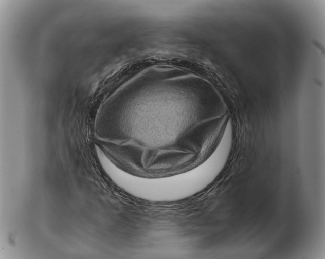 X0000103161253200809121830