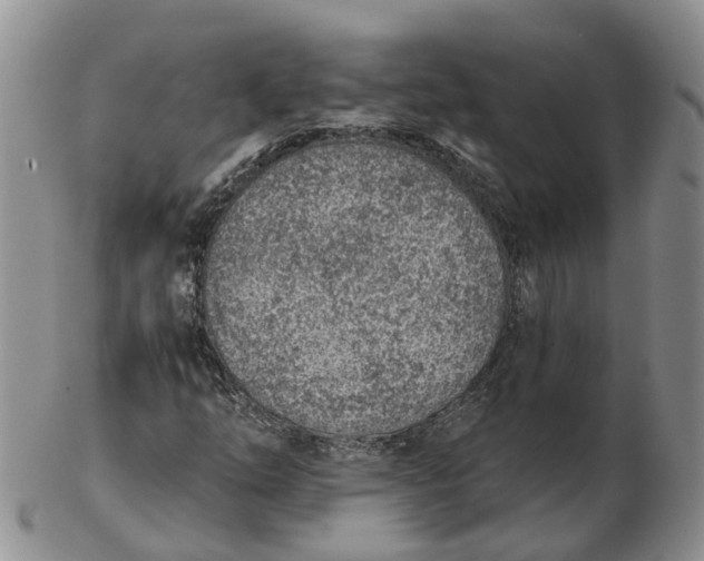 X0000103161254200809121830