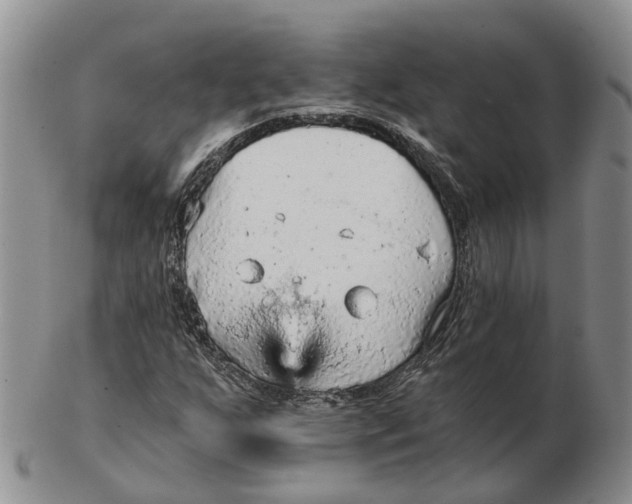 X0000103161255200809121830