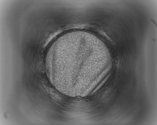 X0000103161256200809121830