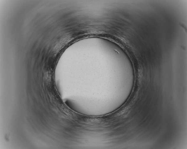 X0000103161257200809121830