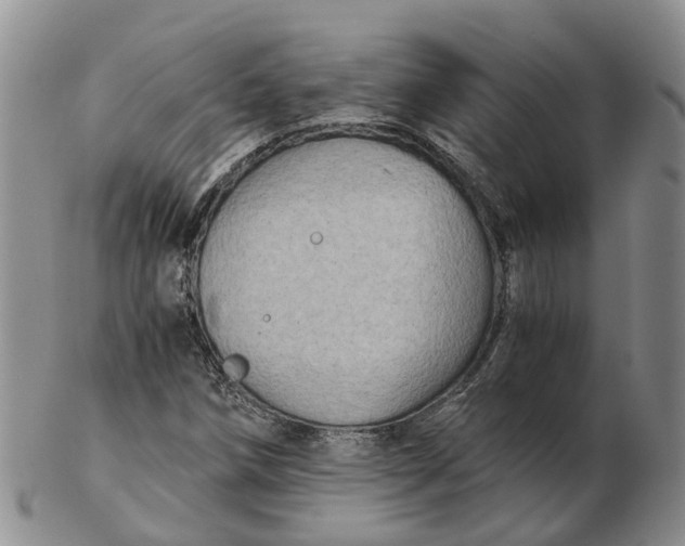 X0000103161258200809121830