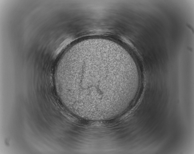 X0000103161259200809121830