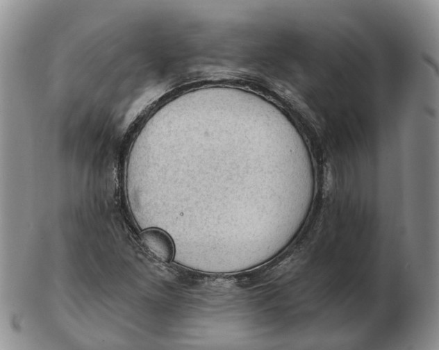 X0000103161261200809121830