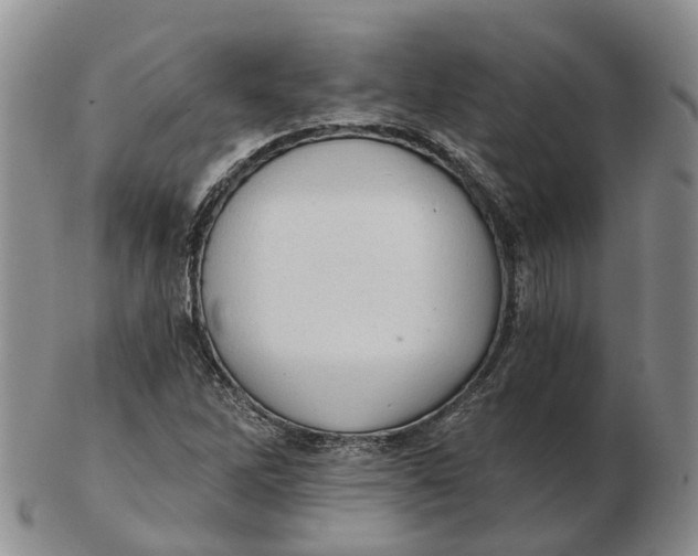 X0000103161262200809121830