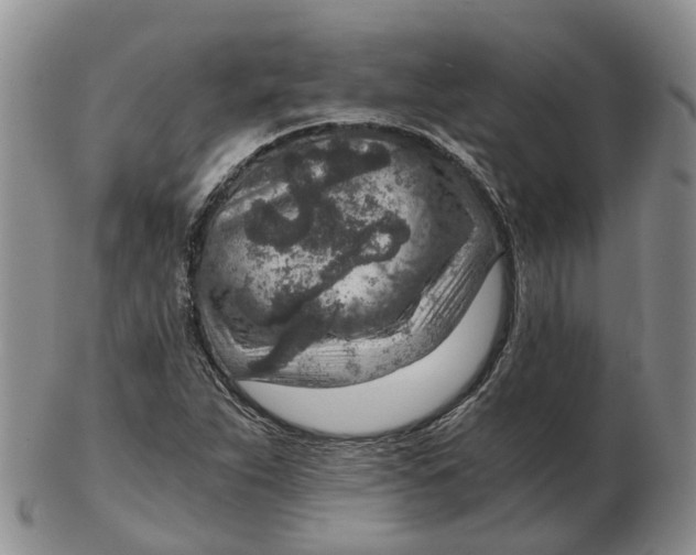 X0000103161263200809121830