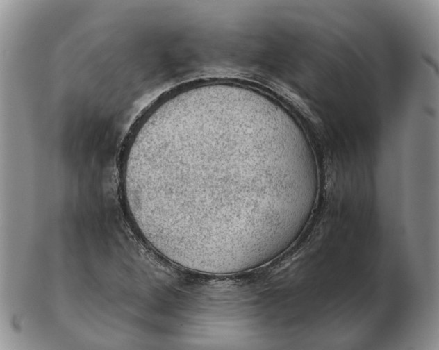 X0000103161264200809121830