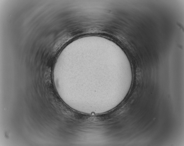 X0000103161265200809121830