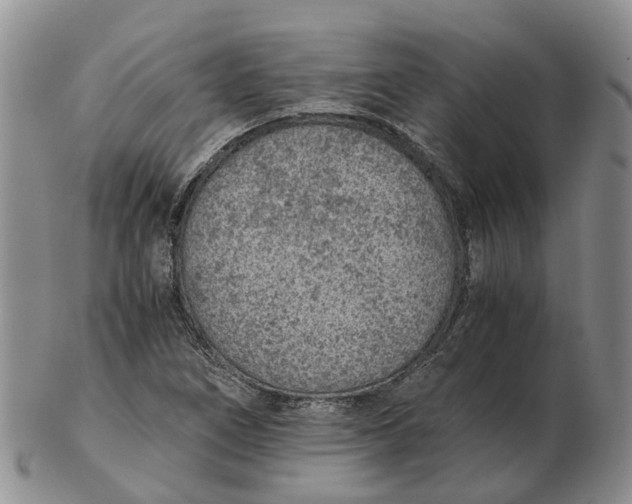 X0000103161266200809121830