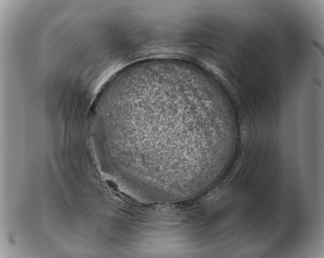 X0000103161267200809121830