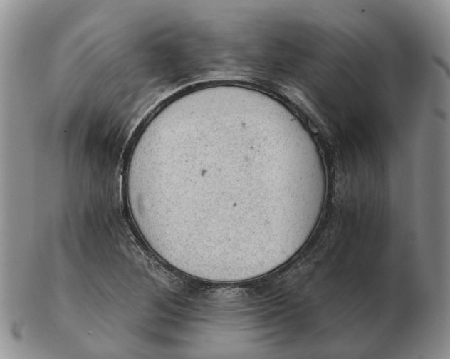 X0000103161268200809121830