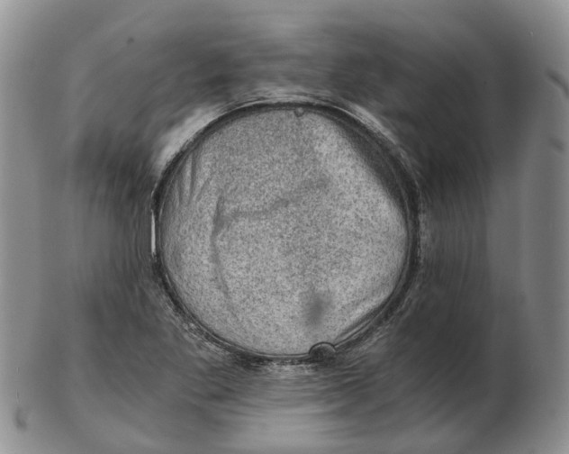 X0000103161269200809121830