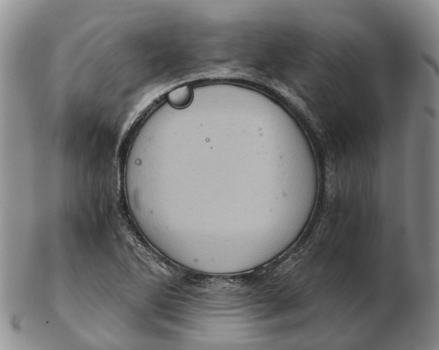 X0000103161270200809121830