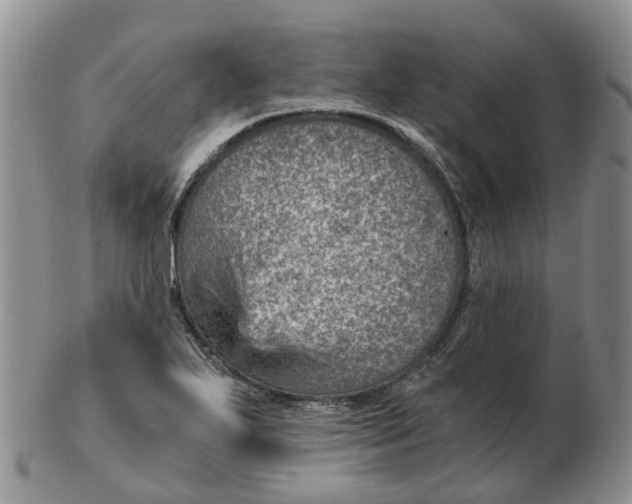 X0000103161271200809121830