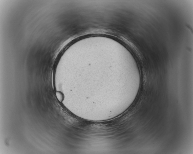 X0000103161272200809121830