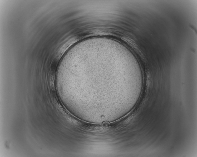 X0000103161273200809121830