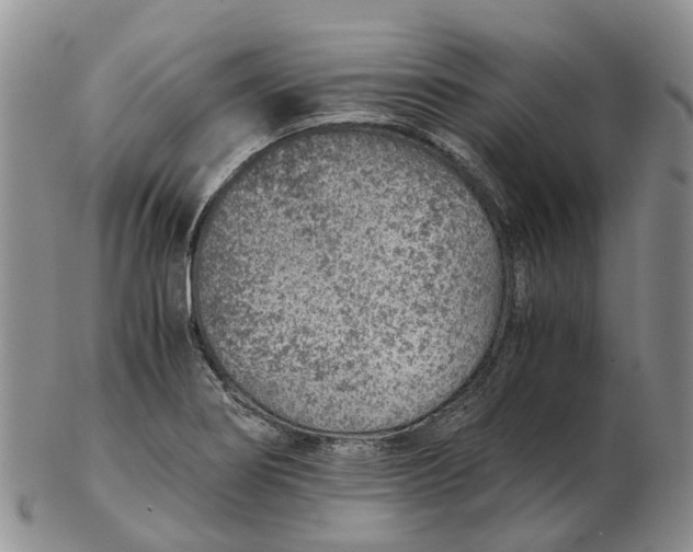 X0000103161274200809121830