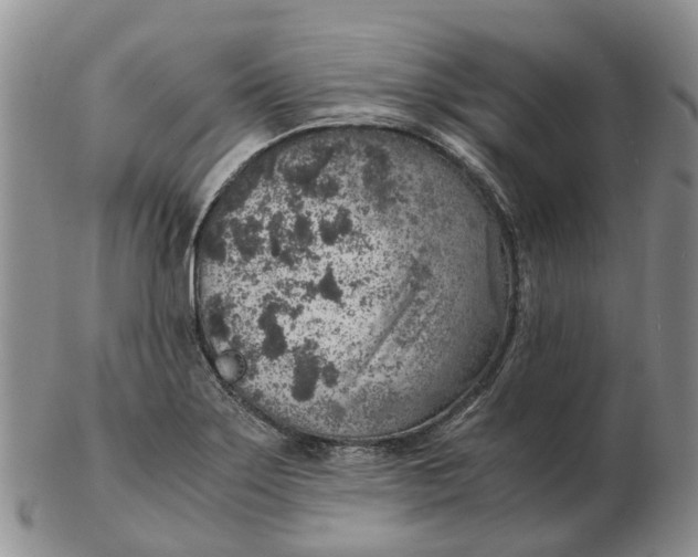 X0000103161275200809121830