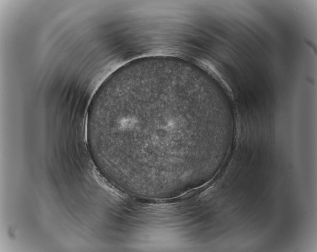 X0000103161276200809121830