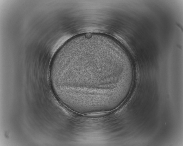 X0000103161277200809121830