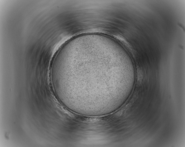 X0000103161278200809121830