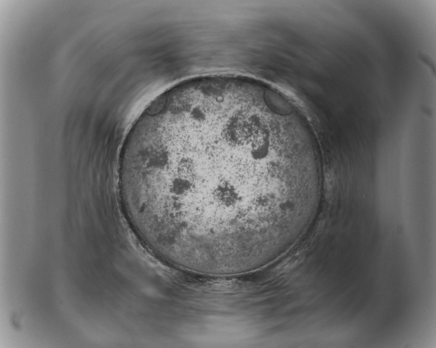 X0000103161279200809121830