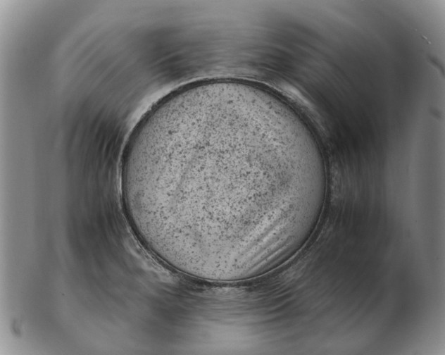 X0000103161280200809121830