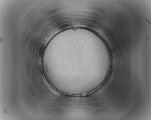 X0000103161281200809121830