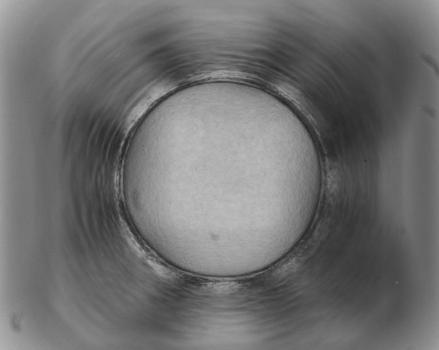 X0000103161282200809121830