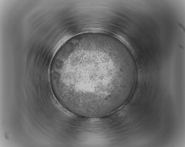 X0000103161283200809121830