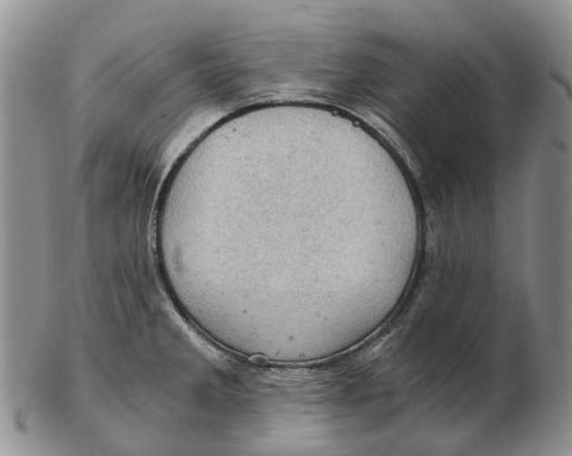 X0000103161285200809121830