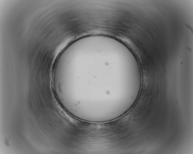 X0000103161286200809121830