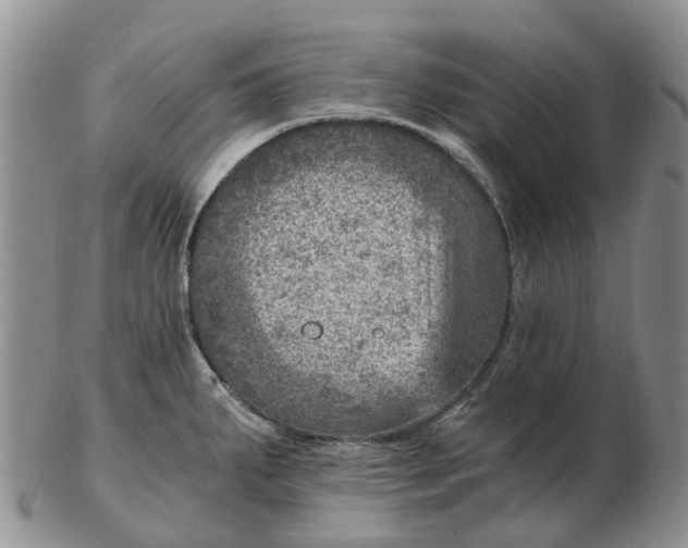 X0000103161287200809121830