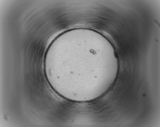 X0000103161288200809121830