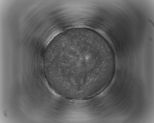 X0000103161289200809121830