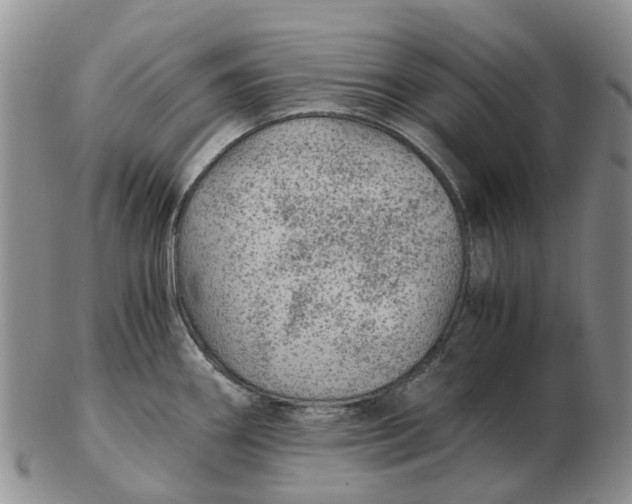 X0000103161290200809121830