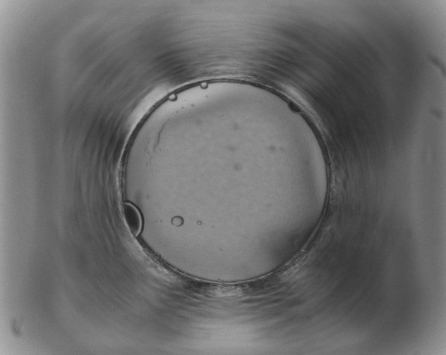 X0000103161291200809121830