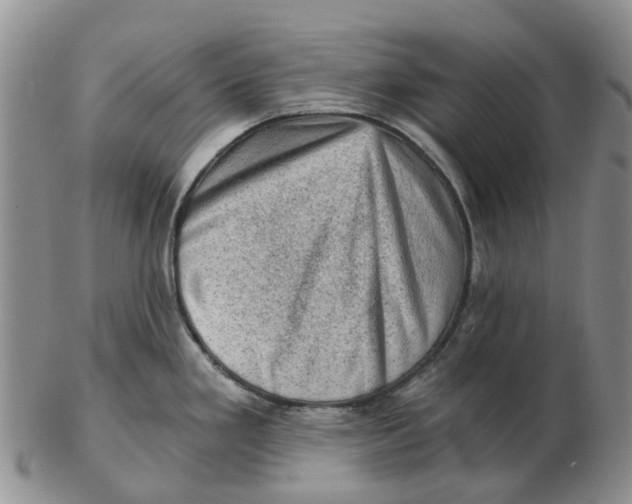 X0000103161293200809121830