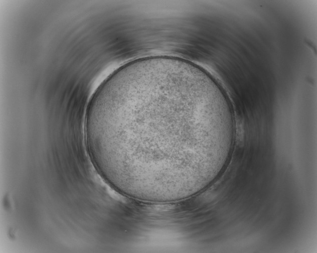 X0000103161294200809121830