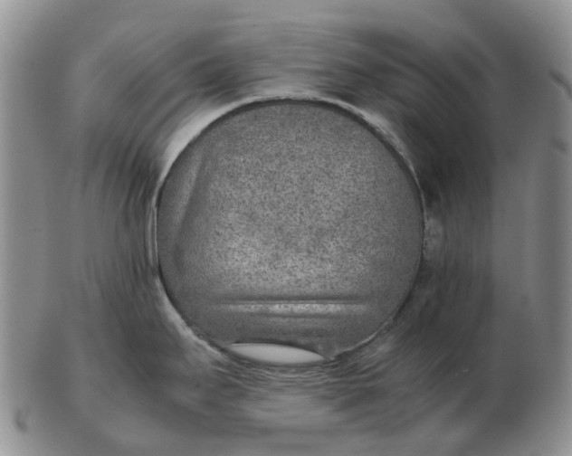 X0000103161295200809121830