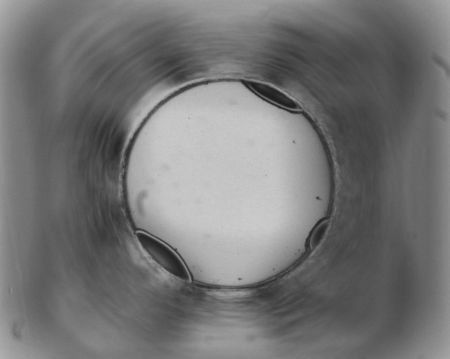 X0000103161296200809121830