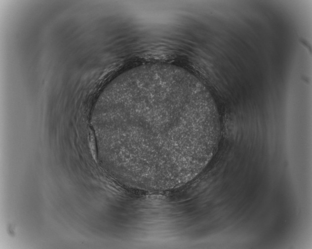 X0000103161297200809121829