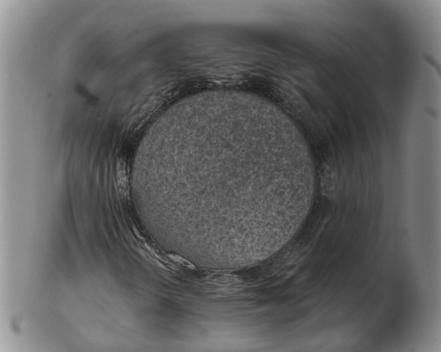 X0000103161298200809121829