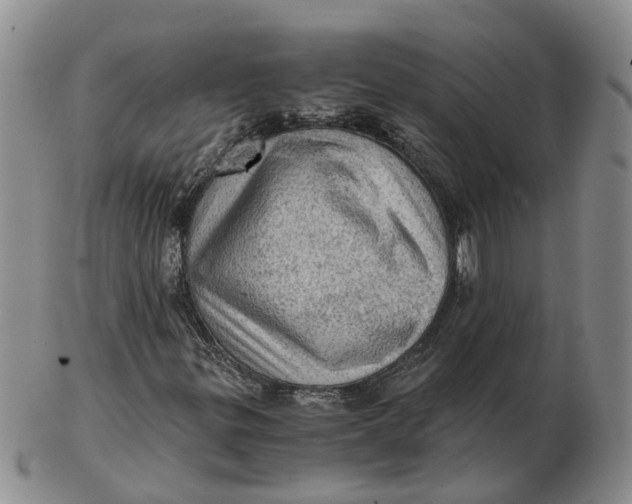 X0000103161299200809121829