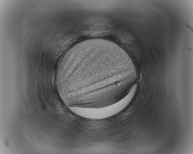 X0000103161300200809121829