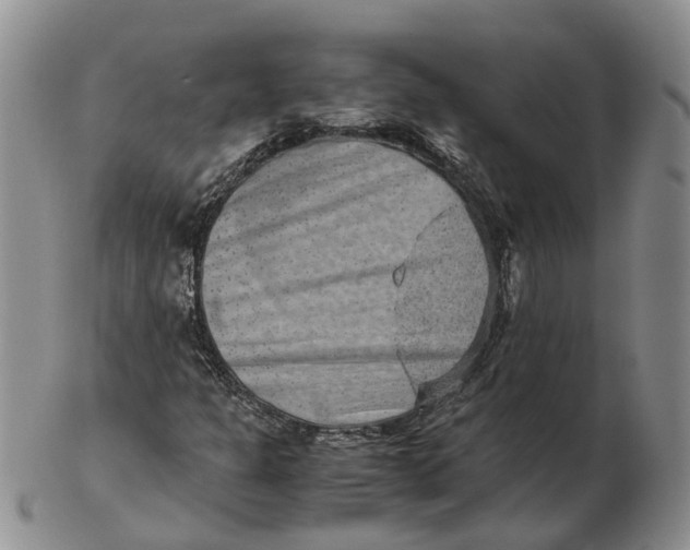 X0000103161301200809121829