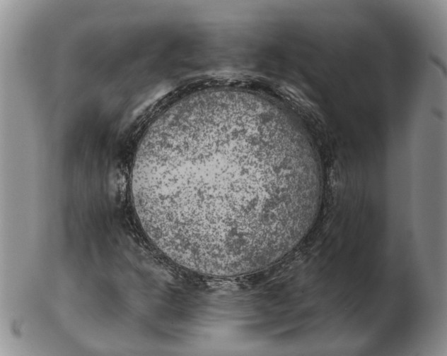 X0000103161302200809121829