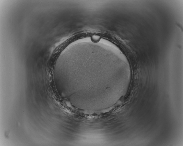 X0000103161303200809121829